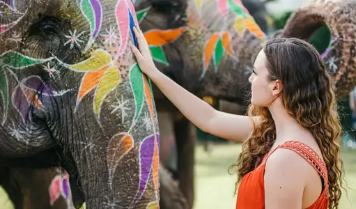 A day in the life of a mahout at elefantastic