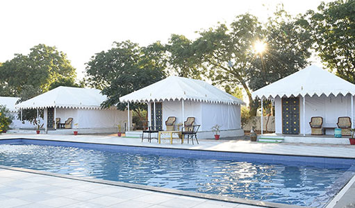 Best Resort in Jawai – A Complete Guide to Wildlife & Nature Stay