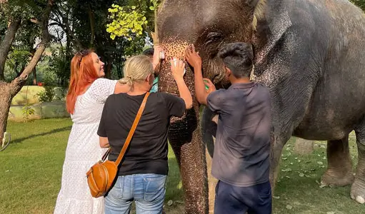 Digital Essentials for Travelers in India