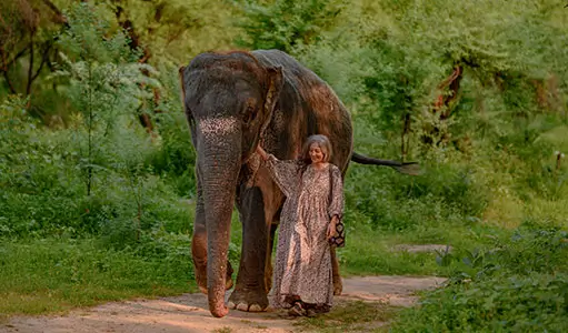 Elephant Trekking in Jaipur: A Responsible and Cultural Experience