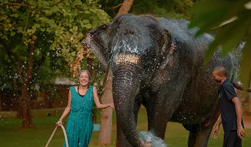 Elephant Village Tour in Jaipur with Responsible Elephant Encounters