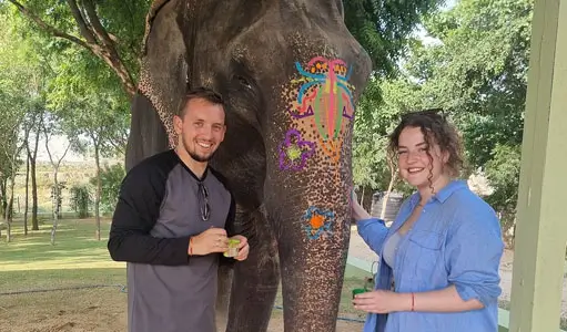 Why Ethical Elephant Tourism in Jaipur Matters – The Story of Compassionate Travel