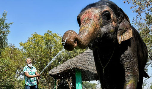 Golden Triangle Tour India with Private Driver