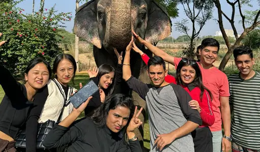 Hiring a Private Guide vs. Self-Guiding in India – What Travelers Should Know