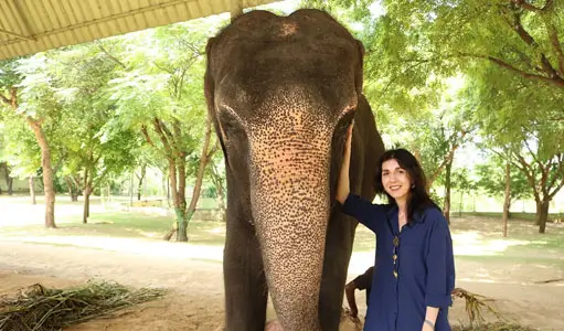 How Much Does a Trip to India Cost? Complete Budget Guide for International Travellers