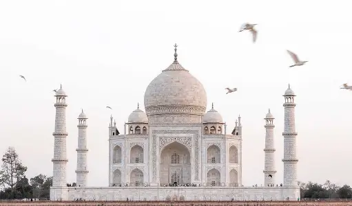 10 Best India Tour Companies & Operators