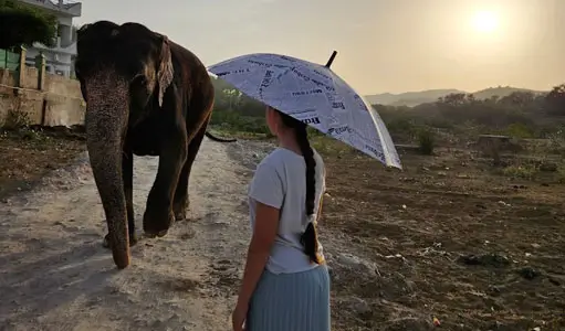 India Tour Packages with Private Driver