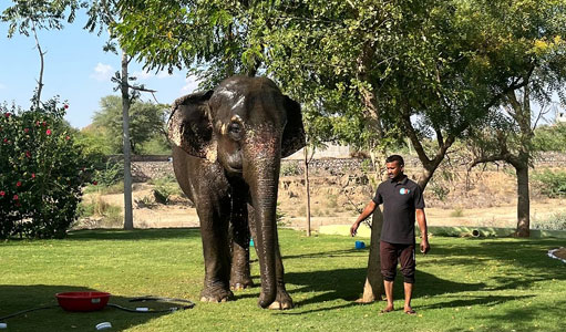 India Tour with Driver