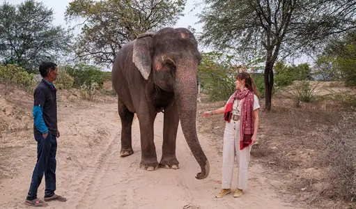 Private Guided Rajasthan Tour India with English-Speaking Driver for Authentic and Comfortable Exploration