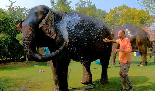 Top 10 Reasons to Book a Jaipur Tour Driver for Your Next Holiday – Explore Rajasthan Comfortably