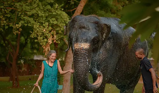 Sustainable Tourism Jaipur