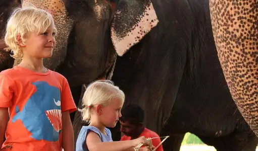 Top Elephant Encounters for Families and Couples at Elefantastic Jaipur