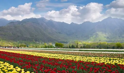 India Summer Tour Itinerary — Where to Go When the Plains Are Hot