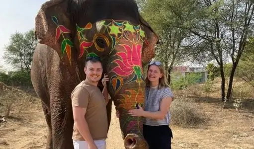 Why Foreign Travelers Love Elefantastic Jaipur: A Unique Elephant Experience in Rajasthan