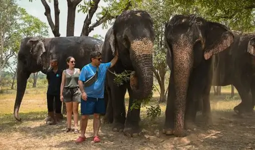 Why an Elephant Experience Is Better Than an Elephant Ride: A Modern Approach to Responsible Tourism