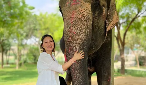 What It Feels Like to Live Among Elephants – Overnight Stay at Elefantastic Jaipur