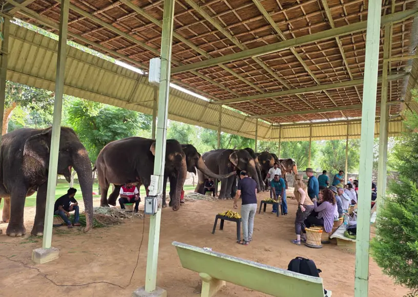 Day Time