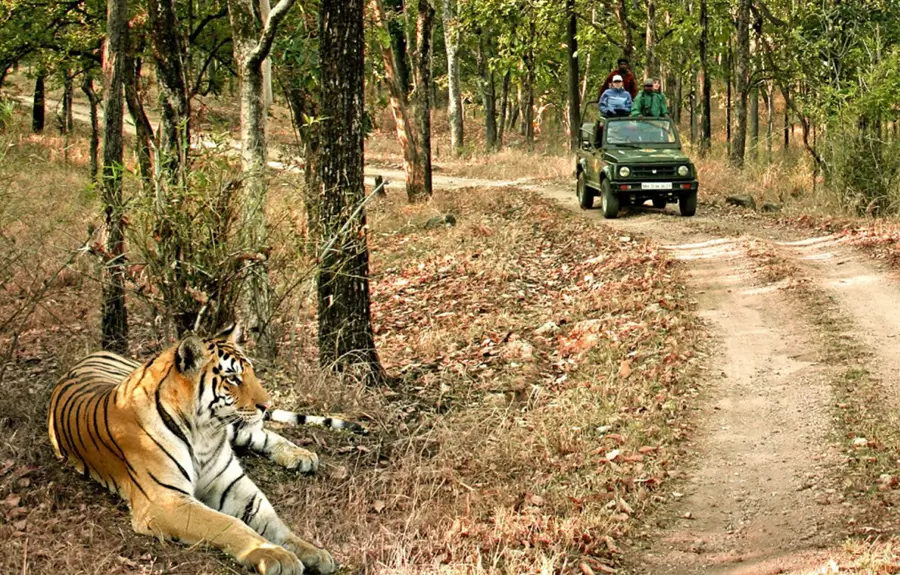 Golden Triangle with Taj Safari Lodges