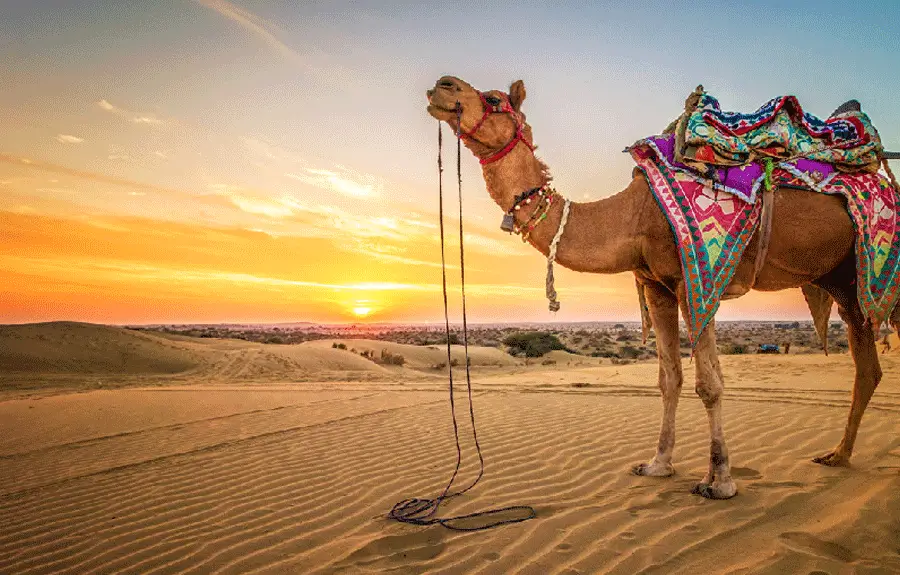 Luxury Rural Rajasthan Tour Package