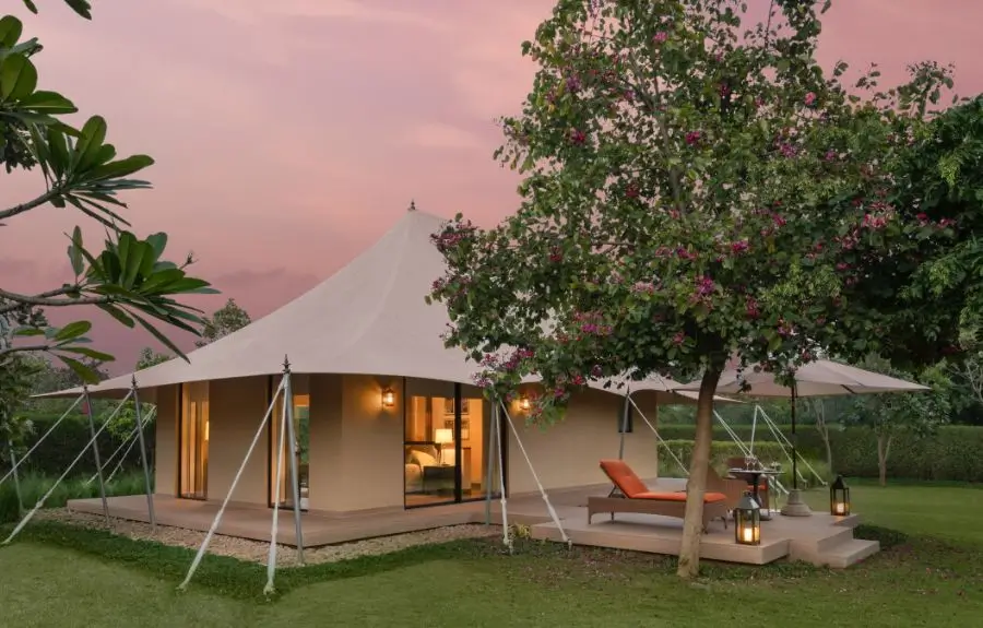 12 Days Luxury Wildlife Safari LGBT Tour India with Tigers, Leopards & Heritage Cities
