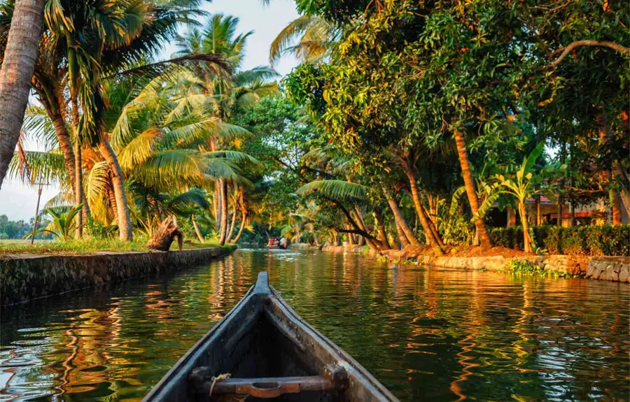 Golden Triangle and South India Private Luxury Tour with Heritage, Nature, and Backwaters