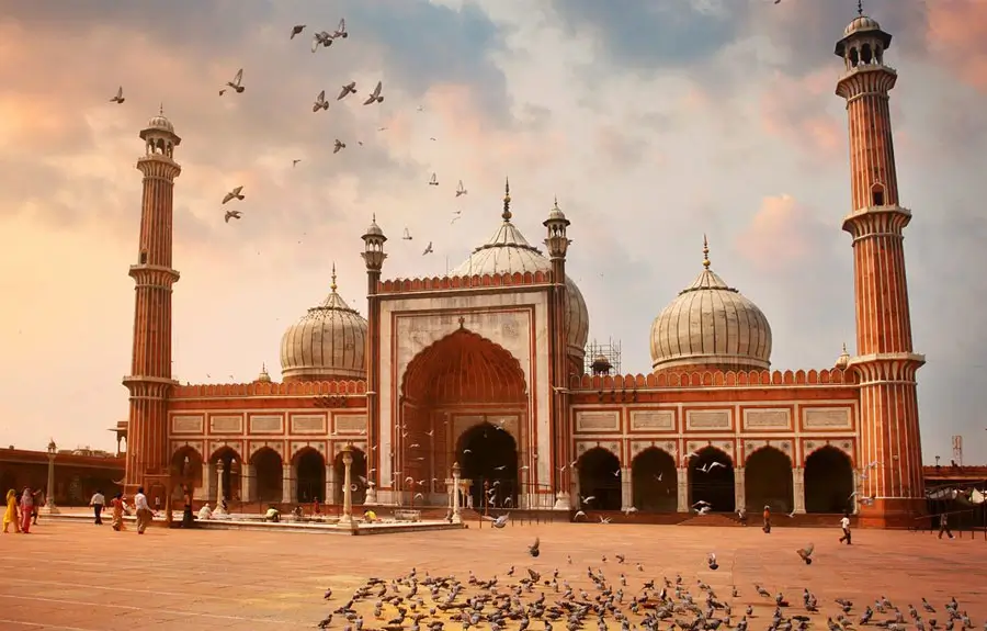 Golden Triangle and South India Private Luxury Tour with Heritage, Nature, and Backwaters