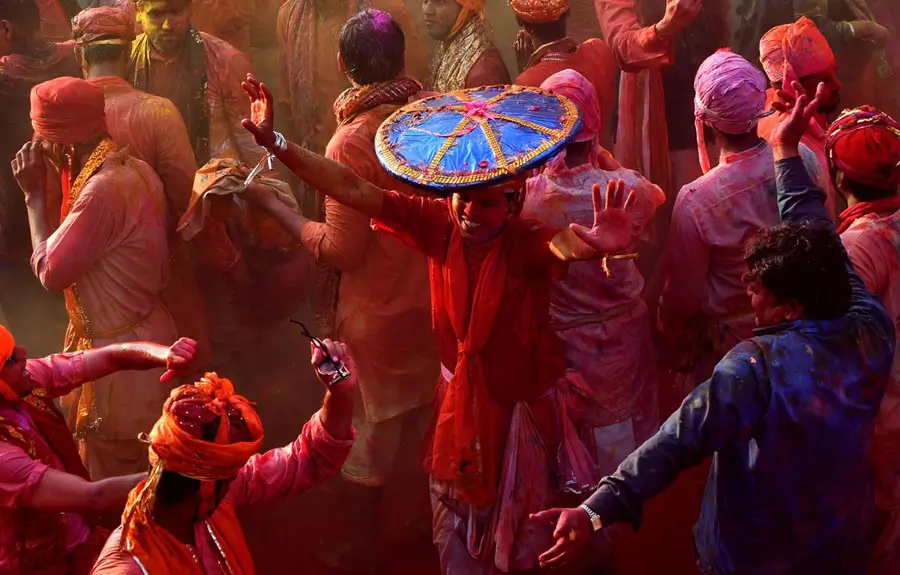 Holi Celebration in Jaipur with Elefantastic Elephant Stay