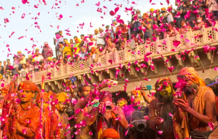 Holi Celebration in Jaipur with Elefantastic Elephant Stay