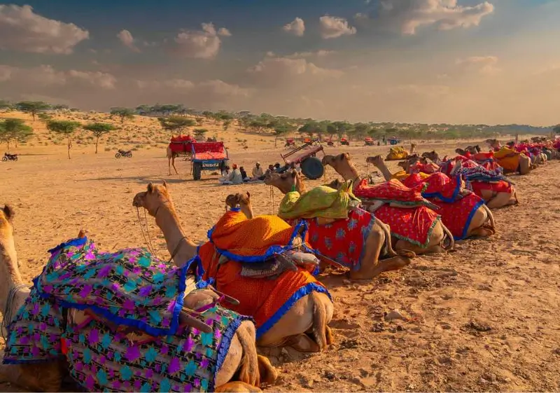 10 Days Luxury Rajasthan Desert & Lakes Tour with Jaipur, Jodhpur, Jaisalmer & Udaipur