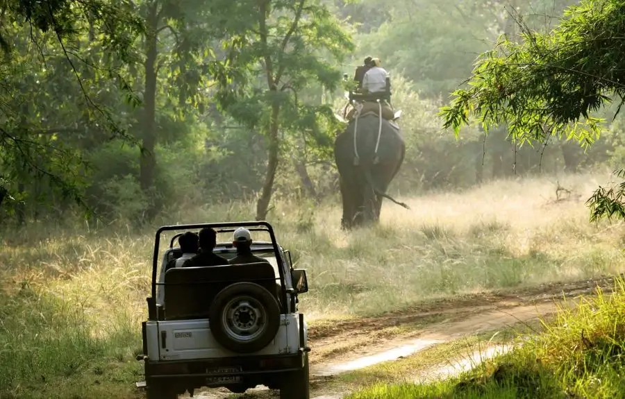 12 Days Luxury Wildlife Safari LGBT Tour India with Tigers, Leopards & Heritage Cities