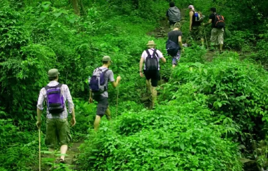 12 Days Luxury Wildlife Safari LGBT Tour India with Tigers, Leopards & Heritage Cities