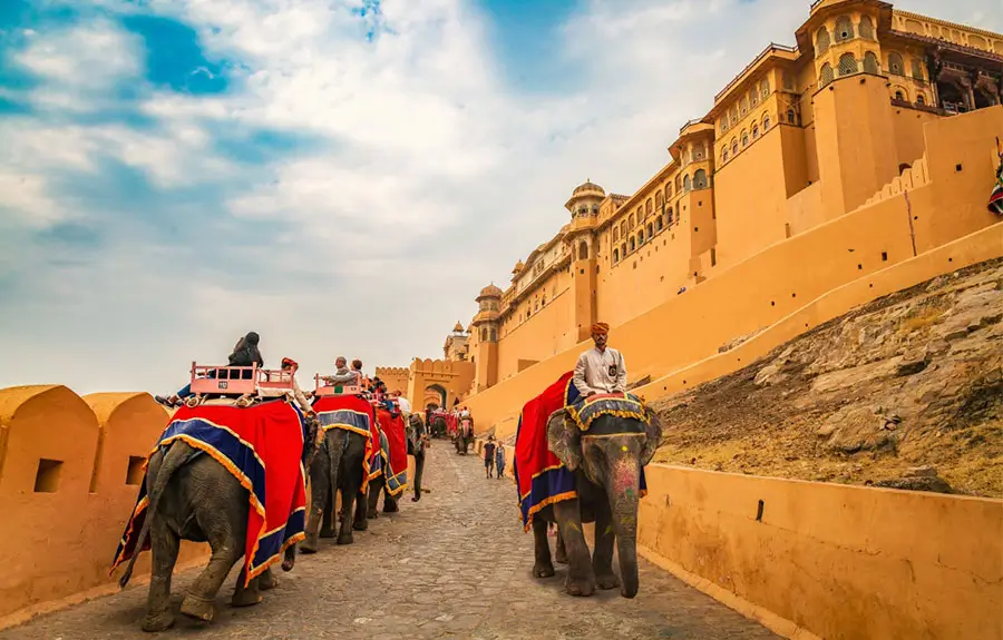 Rajasthan Cultural Tour with Elephants
