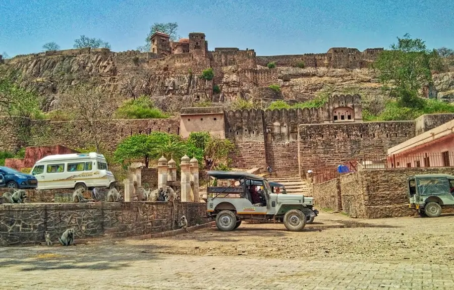 Luxury Rajasthan with Wildlife & Wilderness