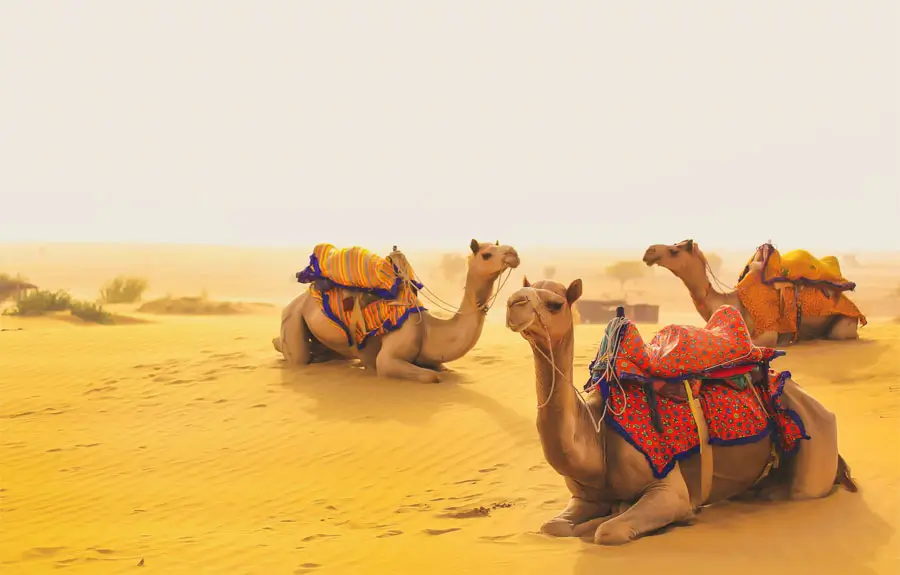 Royal Rajasthan Tour Package