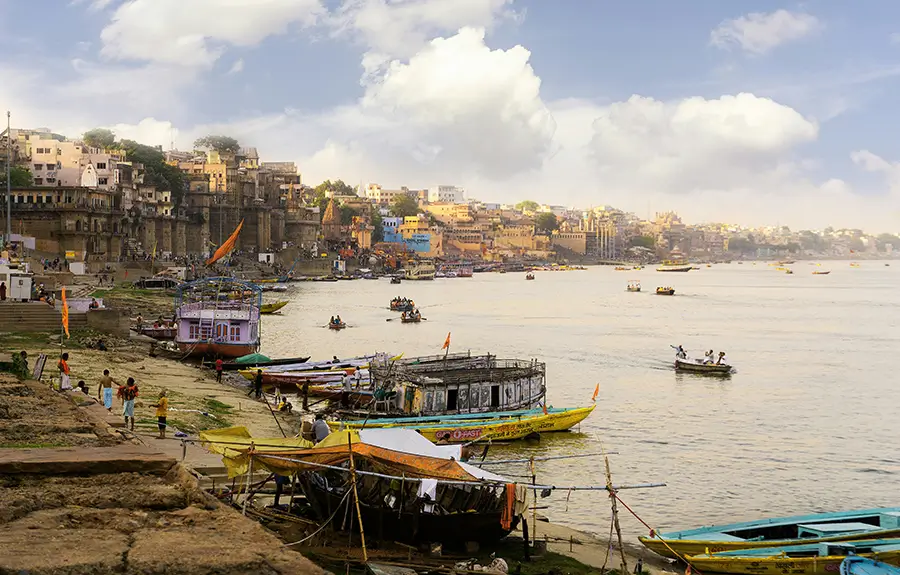 Golden Triangle with Taj Safari Lodges