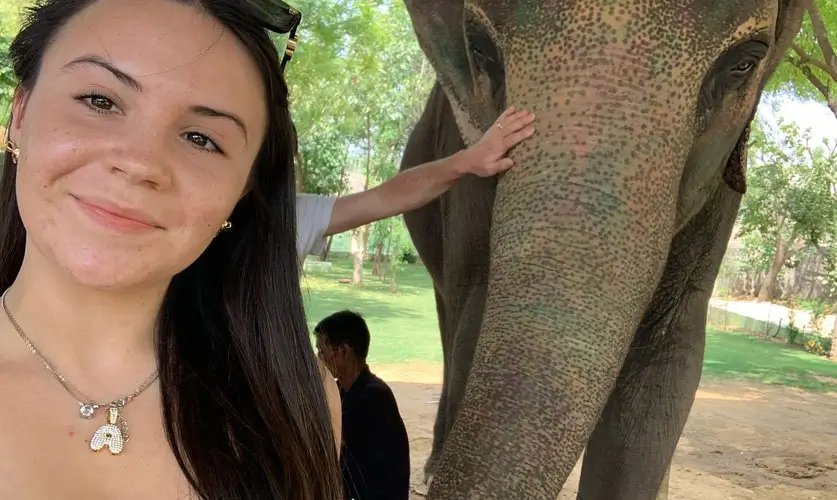 Best-Activities-to-Do-with-Elephants-in-Jaipurss