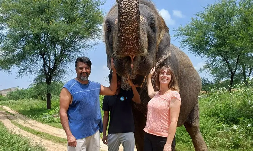 Best-Wildlife-Experiences-in-Jaipur-for-Foreign-Touristss