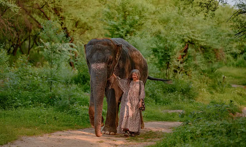 Elephant-Trekking-Jaipur