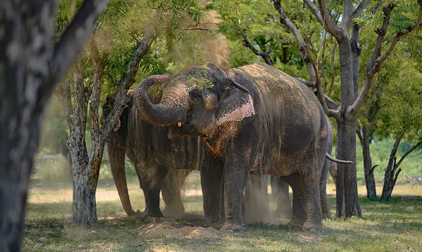Ethical-tourism