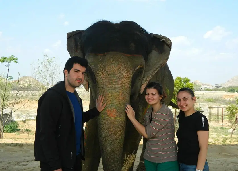 How-They-Work-Whats-Included