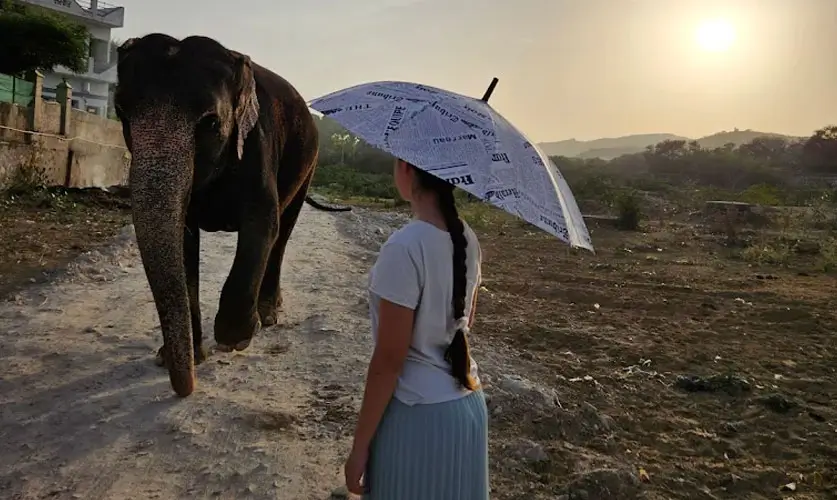 India-Tour-Packages-Private-Driver