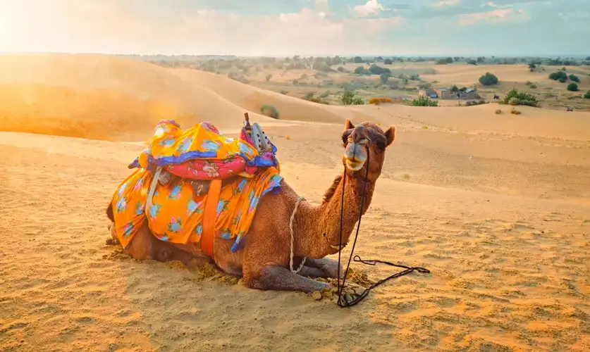 Jaisalmer-desert