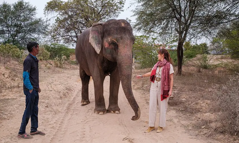 Private-Guided-Rajasthan-tour