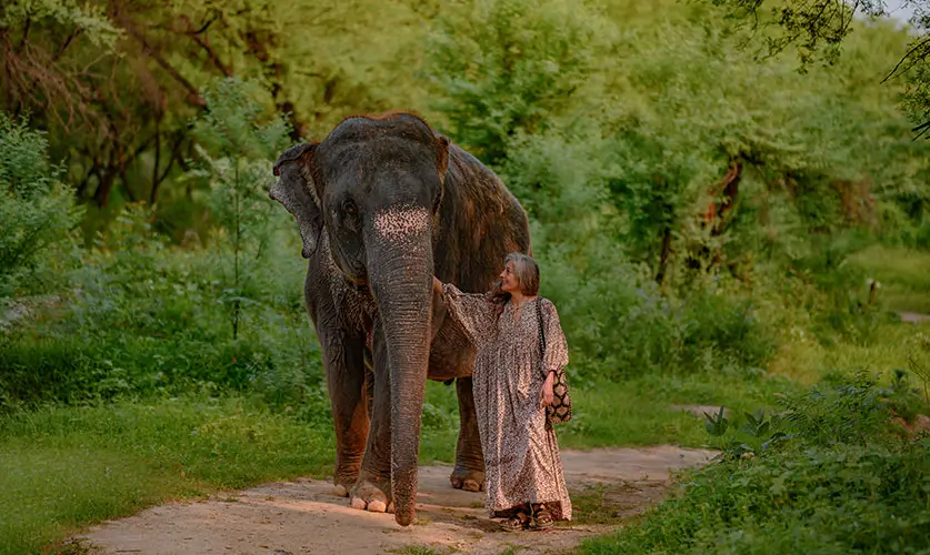 The-human–elephant